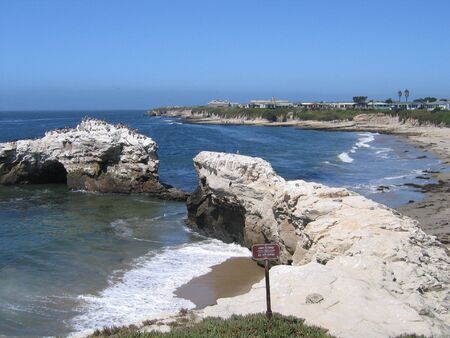 nature bridge on the beachの写真素材