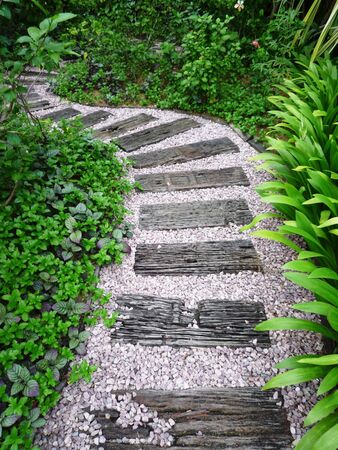 Garden pathの写真素材