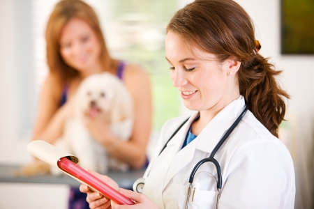 Series set in a Veterinarian's office, with a dog, cat, rabbit and a Caucasian veterinarian and customer.の写真素材