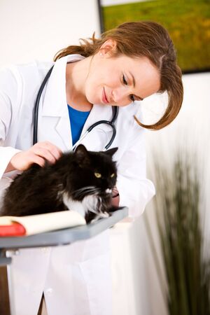 Series set in a Veterinarian's office, with a dog, cat, rabbit and a Caucasian veterinarian and customer.の写真素材