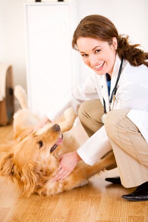 Series set in a Veterinarian's office, with a dog, cat, rabbit and a Caucasian veterinarian and customer.の写真素材
