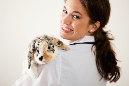 Series set in a Veterinarian's office, with a dog, cat, rabbit and a Caucasian veterinarian and customer.の写真素材