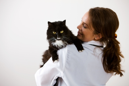 Series set in a Veterinarian's office, with a dog, cat, rabbit and a Caucasian veterinarian and customer.の写真素材