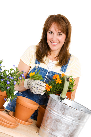 Garden: Woman Potting Marigoldsの写真素材