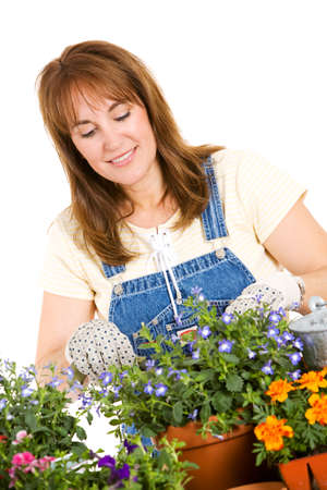 Garden: Woman Working To Pot Seedlings For Her Gardenの写真素材