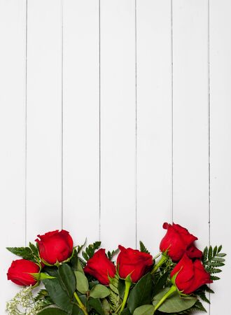Valentine's: Red Roses on White Wood Backgroundの写真素材