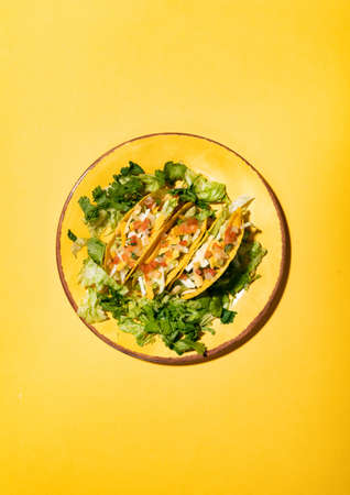 Series with food, drinks and other items to make a festive background for Cinco De Mayo.の写真素材