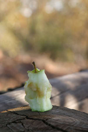 Half eaten apple on tree stumpの写真素材