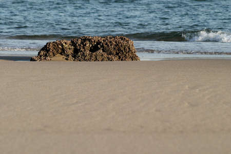 rock on the beach in mozambiqueの写真素材