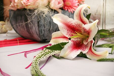 Pink orchidsの写真素材