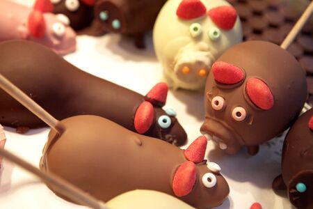 Chocolate sucker animals.  shallow d.o.fの写真素材