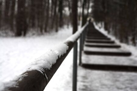 Forrest in Regensburg, Germany, out of focus, depth of fieldの写真素材