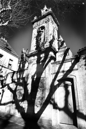 A shade of a tree on a wall of a old building in Aix-en-provence, France.  The revolutionary architectural monument: The mausoleum of Joseph Sec. Black and white - Infra Red Photographic effectの写真素材