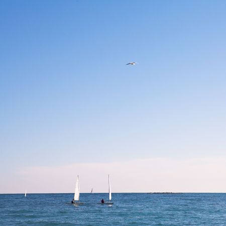 The sea and some sailboats in Antibes, France.  Movement on the flying bird.  Copy space.の写真素材