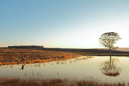 A fly fisherman casting a line in Dullstroom, South Africaの写真素材