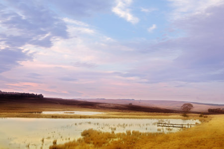Landscape of a fly-fishing dam