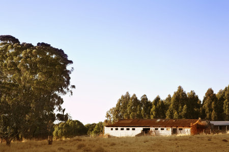 A farm stall surrounded with large treesの写真素材