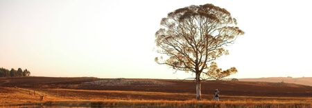 A fly fisherman casting a line in Dullstroom, South Africaの写真素材