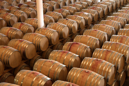 Stacked Oak barrels for maturing red wine and brandy in a cooling cellar. Made from American and...