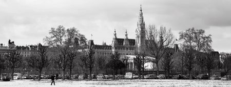 The Town Hall (Wien Rathaus) buildings in Vienna, Austria across a snow covered park. Cloudy day at the end of winter. Black and white panoramic imageの写真素材
