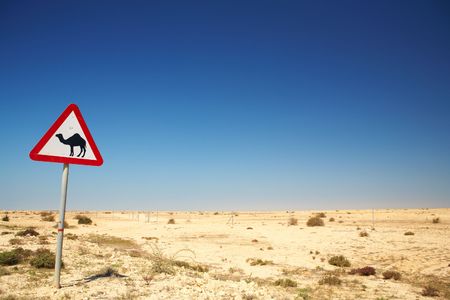 Warning sign for camels on the road next to the roadway in Qatar, Middle Eastの写真素材