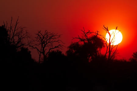 Red African sunset from the Chobe River in Southern Africa - Copyspaceの写真素材