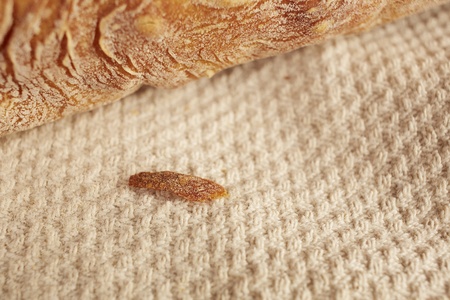 Fresh homemade traditional Moroccan bread loaves wrapped in a rough cotton cloth. Copy spaceの写真素材