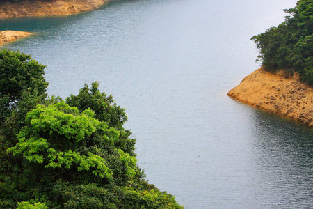pond