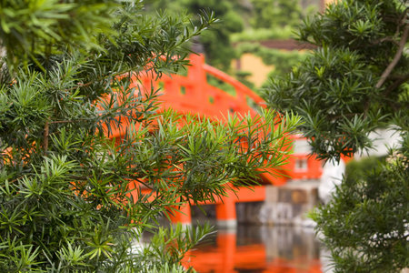 red footbridgeの写真素材