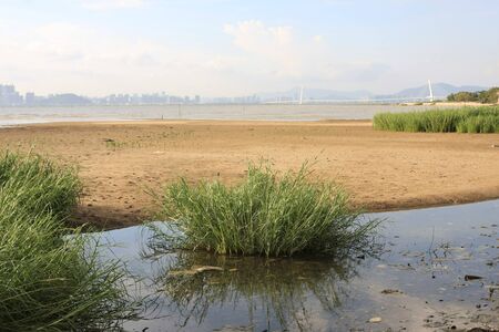 nature view の写真素材