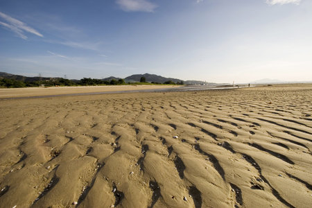 beachの写真素材