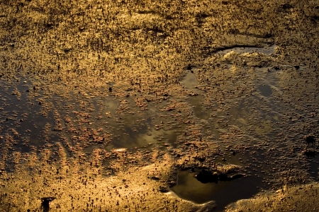 pak lai beachの写真素材
