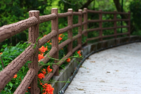 pathの写真素材