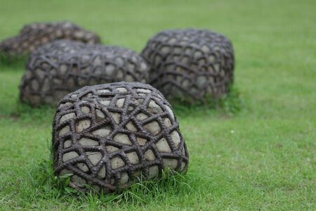 grass stoneの写真素材