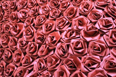 Rose Backgroundの写真素材
