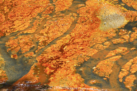 Puddle of dirty, brown, muddy water