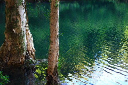 Beauty In Natureの写真素材