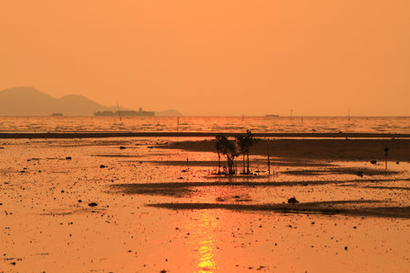 sunset of beach の写真素材
