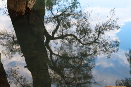 nature view の写真素材