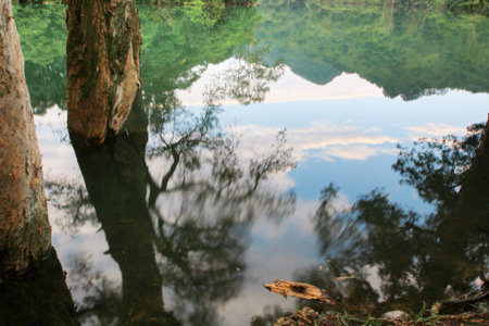 nature view 