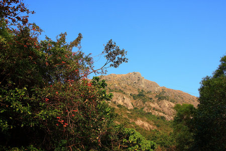 Mountainの写真素材