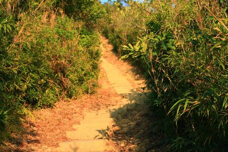 nature viewの写真素材