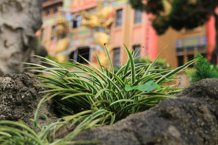 Temple garden