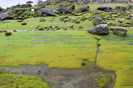Yehliu Geopark 