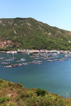 fish vllageの写真素材