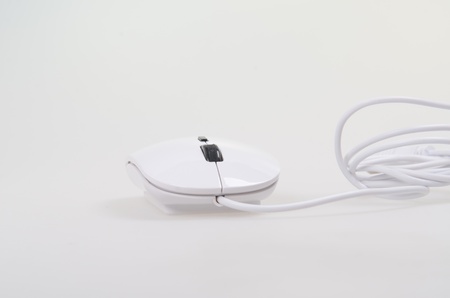 white mouseの写真素材