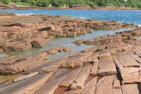 Shale of coastの写真素材