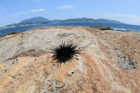 seafoodの写真素材