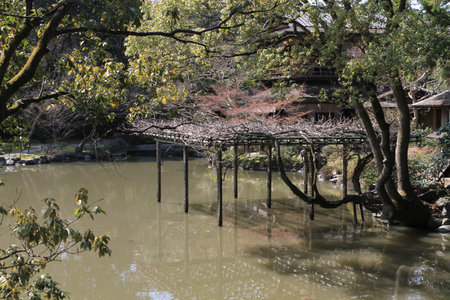 The Royal Garden Kyoto