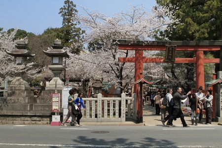 Sakura and templeのeditorial素材